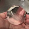 DOSHISHA 透明丸氷型 製氷器 レビュー【お家で透明な氷を作りたい】旧:大人の透明まる氷 アイキャッチ